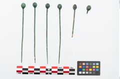 Foto von Bronzekugelkopfnadel (NHMW-PRAE-025744)